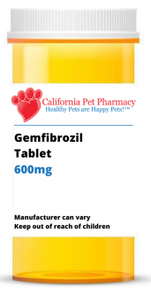 Gemfibrozil 600mg PER TABLET