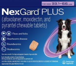 NexGard PLUS for Dogs 33.1-66 lbs 3 Month