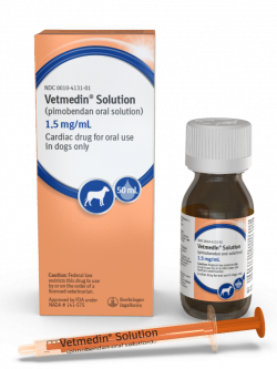 Vetmedin Solution 1.5mg/mL 50mL Bottle