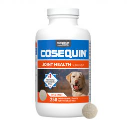 Cosequin Maximum Strength Plus MSM Chewable 250 Count