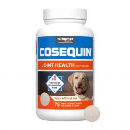 Cosequin Maximum Strength Plus MSM & HA 75 Count