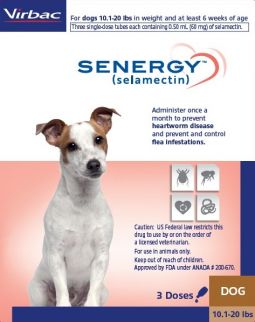 Senergy (selamectin) For Dogs 10-20 lbs 3 Month