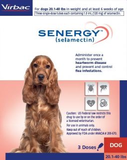 Senergy (selamectin) For Dogs 20-40 lbs 3 Month