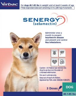 Senergy (selamectin) For Dogs 40-85 lbs 3 Month