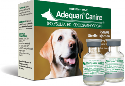 Adequan Canine 5 mL Vial