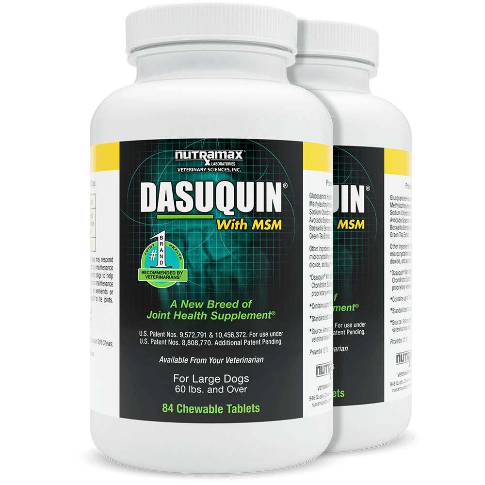 Dasuquin with MSM for Large Dogs (84 Tabs) 2 PACK