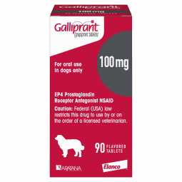 Galliprant Tablets for Dogs 100mg 90 Count