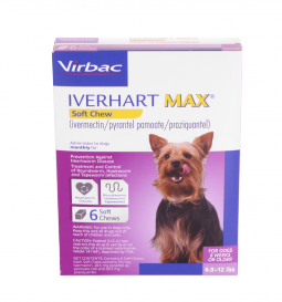 6 MONTH Iverhart Max Soft Chew 6-12 lbs