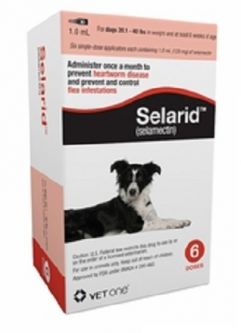 Selarid (Selamectin) for Dogs 20.1 to 40 lbs 6 Month