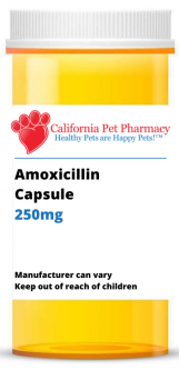 Amoxicillin 250 mg PER CAPSULE