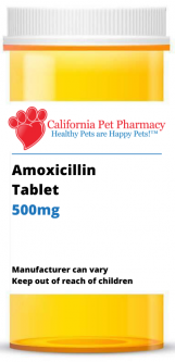 Amoxicillin 500 mg PER TABLET