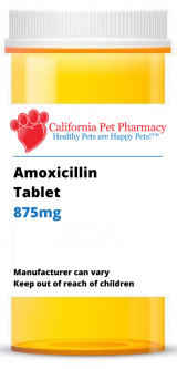 Amoxicillin 875 mg PER TABLET