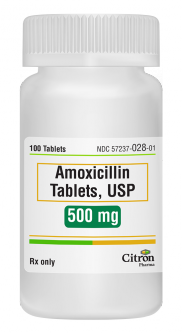 Amoxicillin: California Pet Pharmacy