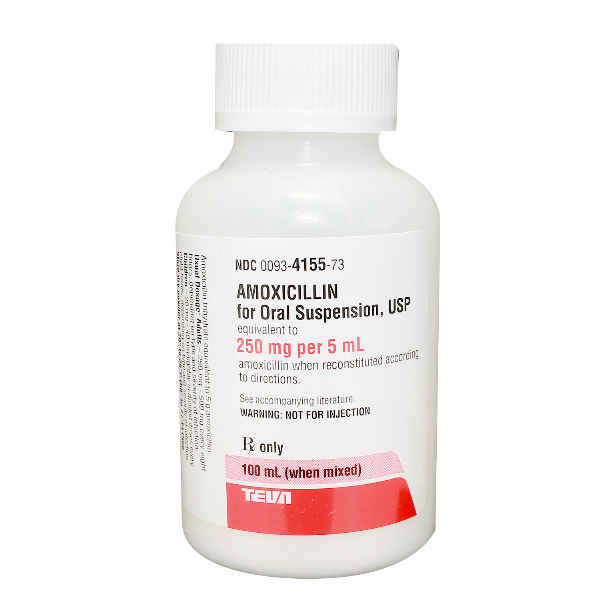 amoxicillin suspension