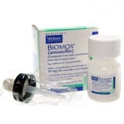 BIOMOX (amoxicillin) Oral Suspension 50 mg (15 ml)