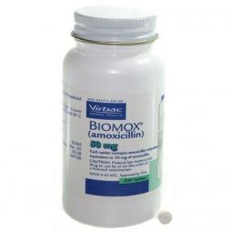 BIOMOX (amoxicillin) Tablets 50 mg per tablet
