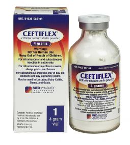 Ceftiflex 4 gram Sterile Solutions
