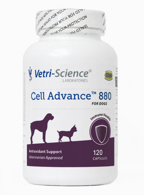 cell-advance-880-120-ct