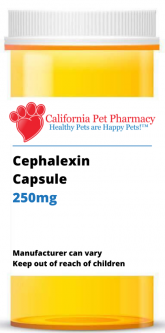 Cephalexin 250 mg PER CAPSULE