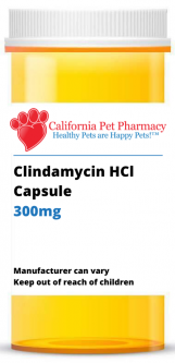 Clindamycin HCl 300mg PER CAPSULE