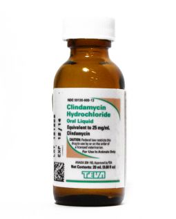 Clindamycin HCl Oral Liquid 25 mg/mL 20 mL Bottle