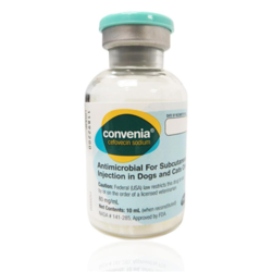 what is convenia injection used for in dogs