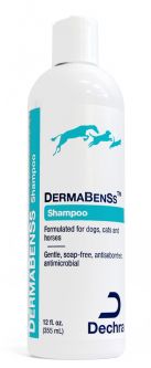 DermaBenSs Shampoo 12 oz