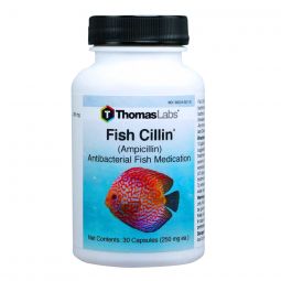 Fish Cillin (Ampicillin) 250mg 100 ct