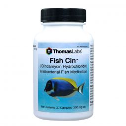 Fish Cin (Clindamycin) 150mg 30 ct