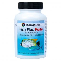 Fish Flex Forte (Cephalexin) 500mg 100 ct