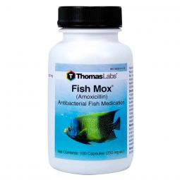 Fish Mox (Amoxicillin) 250mg 100 ct