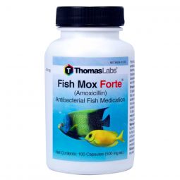 Fish Mox Forte (Amoxicillin) 500mg 100 ct