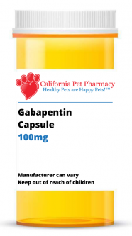 Gabapentin 100 mg PER CAPSULE