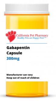 Gabapentin 300 mg PER CAPSULE