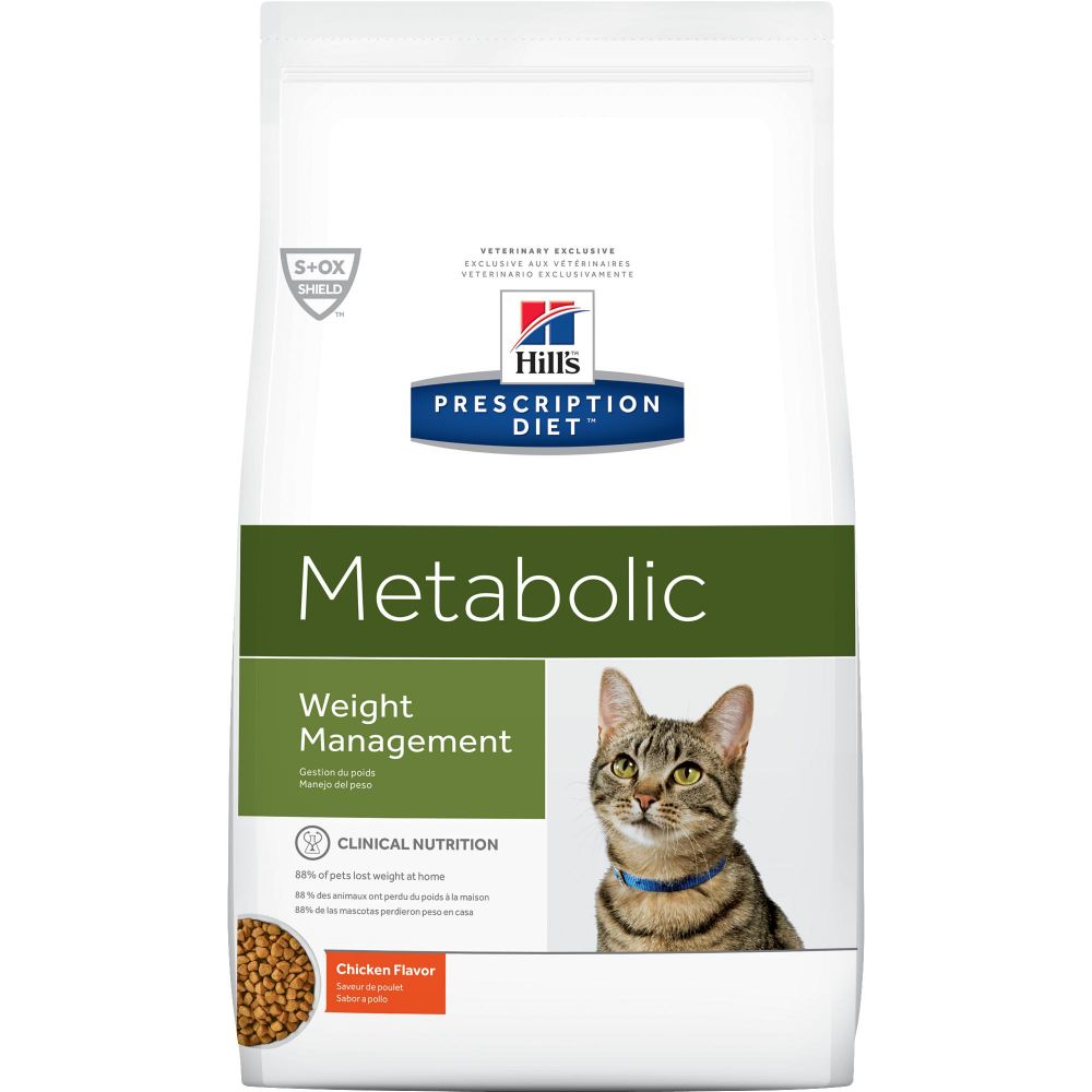 obesity cat food