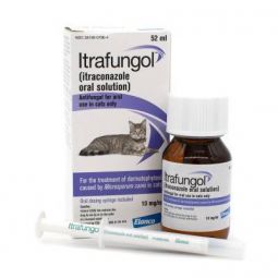 Itrafungol (Itraconazole) 10mg/mL Oral Solution 52 mL