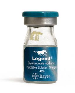 Legend Equine 4 mL 10 mg/mL
