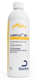 LimePlus Dip 16 oz