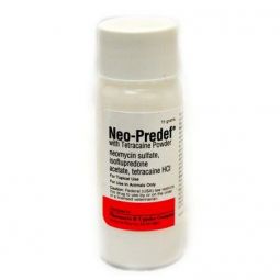 Neo-Predef with Tetracaine Powder 15g