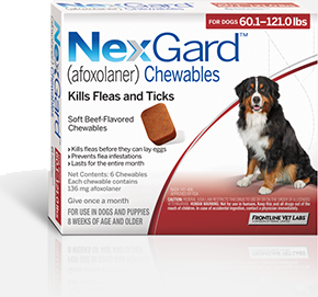 nexgard for puppies
