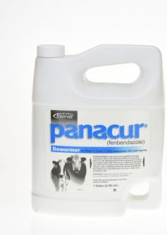 Panacur Horse and Cattle Dewormer Suspension 1 Gallon