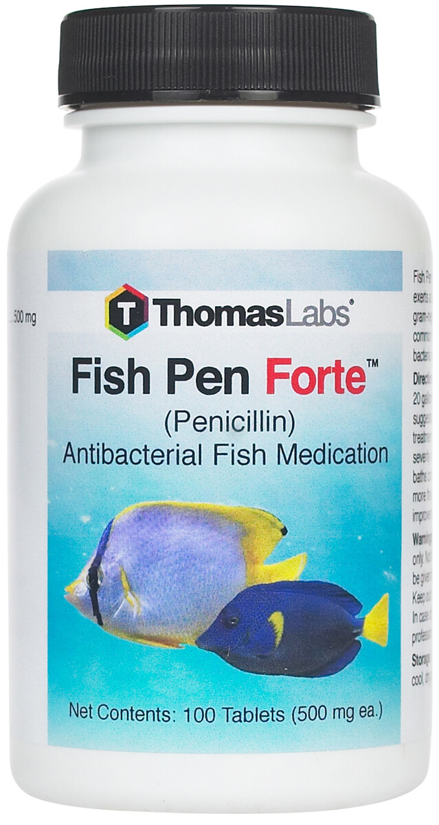 Fish Pen Forte Penicillin 500mg 100 Ct