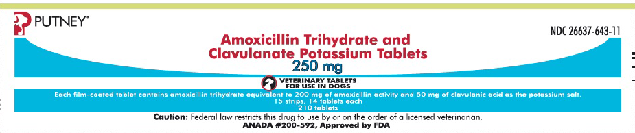 Generic amoxicillin clavulanate