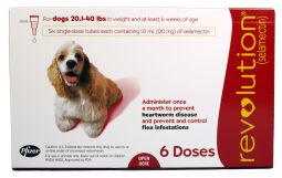 Revolution For Dogs 20.1 to 40 lbs (6 Month)