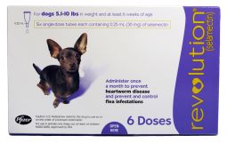 Revolution For Dogs 5.1 to 10 lbs (6 Month)