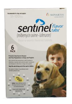 Sentinel White 6 MONTH for Dogs 51-100 lbs