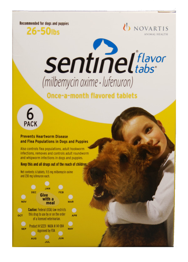 sentinel dog