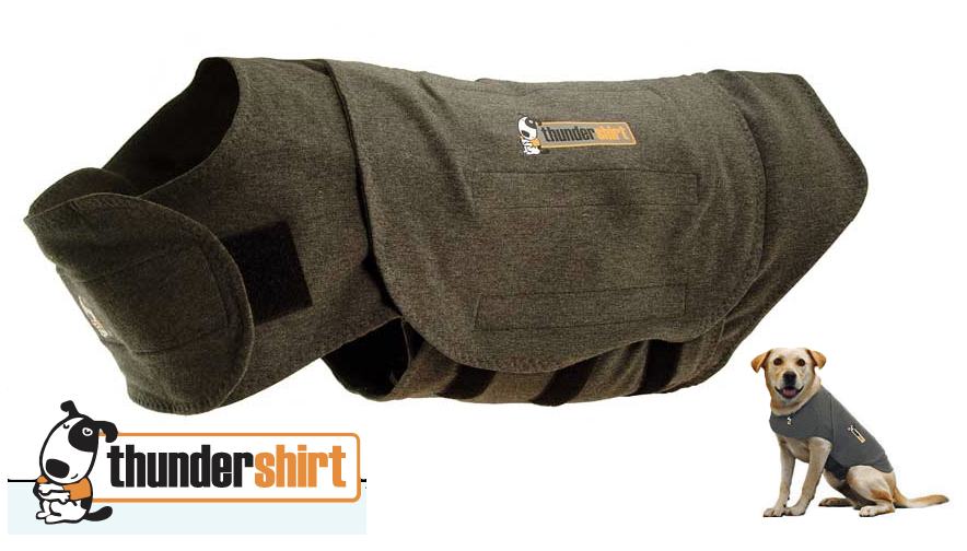 Thundershirt l outlet