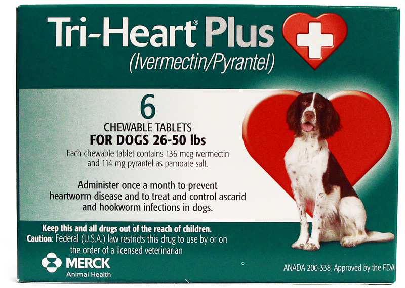 Tri heart for outlet dogs