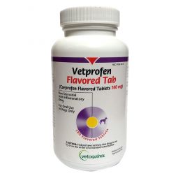 Vetprofen Flavored Tabs 100mg 60 Count